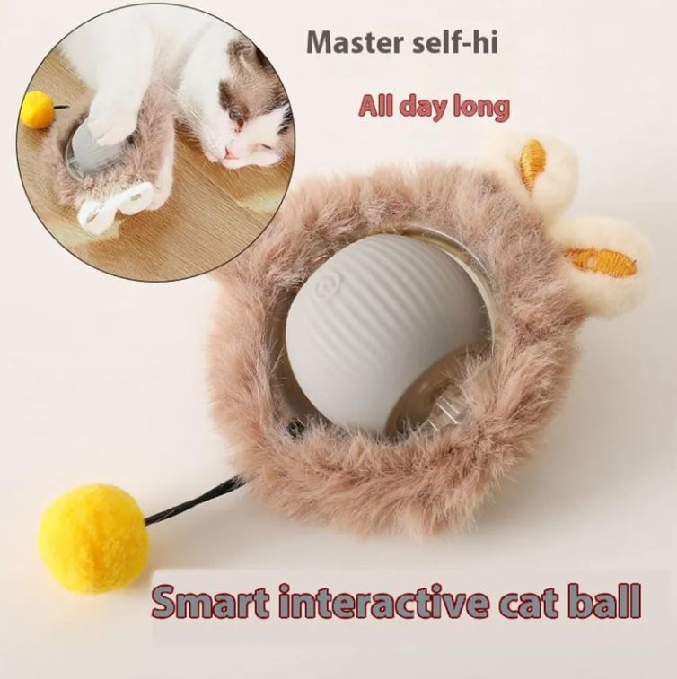Interactive Cat Toys